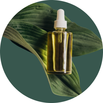 THE BOTANICAL & SPA